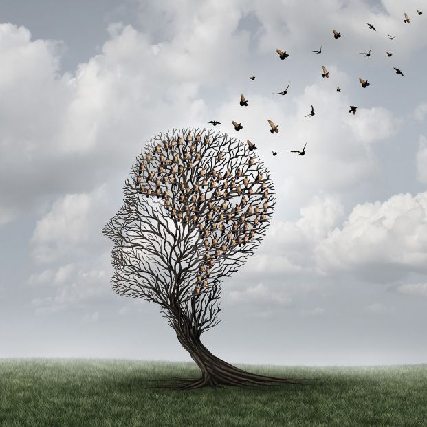 bigstock Memory Loss Concept 103838165 bigstock Memory Loss Concept 103838165