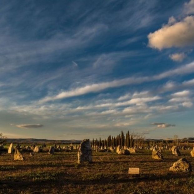 La Necrópolis del Cementerio Las Ruedas Pintia, elegido Mejor Cementerio de España (Europa Press) La Necrópolis del Cementerio Las Ruedas Pintia, elegido Mejor Cementerio de España (Europa Press)