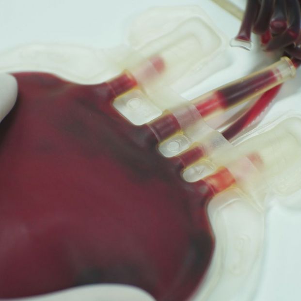 Los mejores consejos y requisitos para aquellos mayores que quieran donar sangre Los mejores consejos y requisitos para aquellos mayores que quieran donar sangre