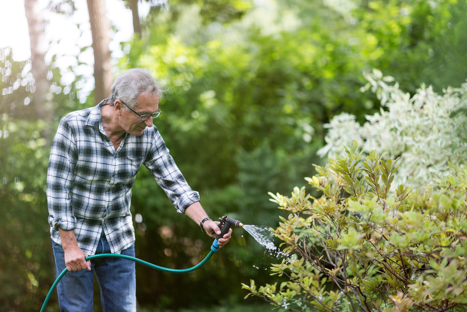 La jardinería: una agradable actividad que es beneficiosa a nivel físico y mental para los mayores