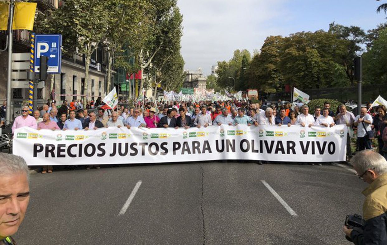 Miles de olivareros de toda España salen a la calle ante la crisis de precios del aceite