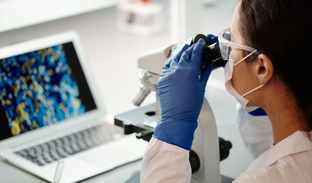¿Cómo una sola dosis de un metabolito lipídico rejuvenece las células madre musculares? (Europapress)