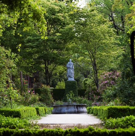 jardin botanico madrid (web Real Jardín Botánico de Madrid)