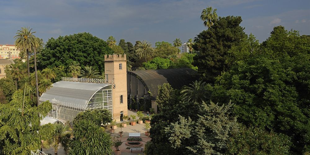 jardin botanico de valencia (web Jardín Botánico Universidad de Valencia)