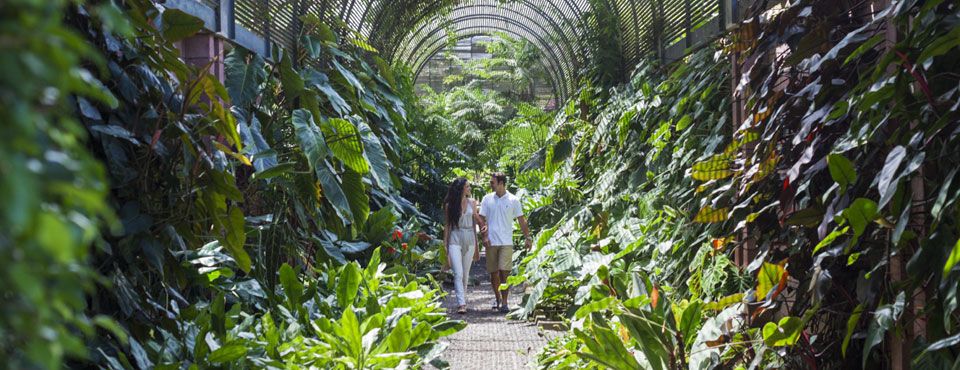 Jardín Botanico La Orotava (web tenerife.com)