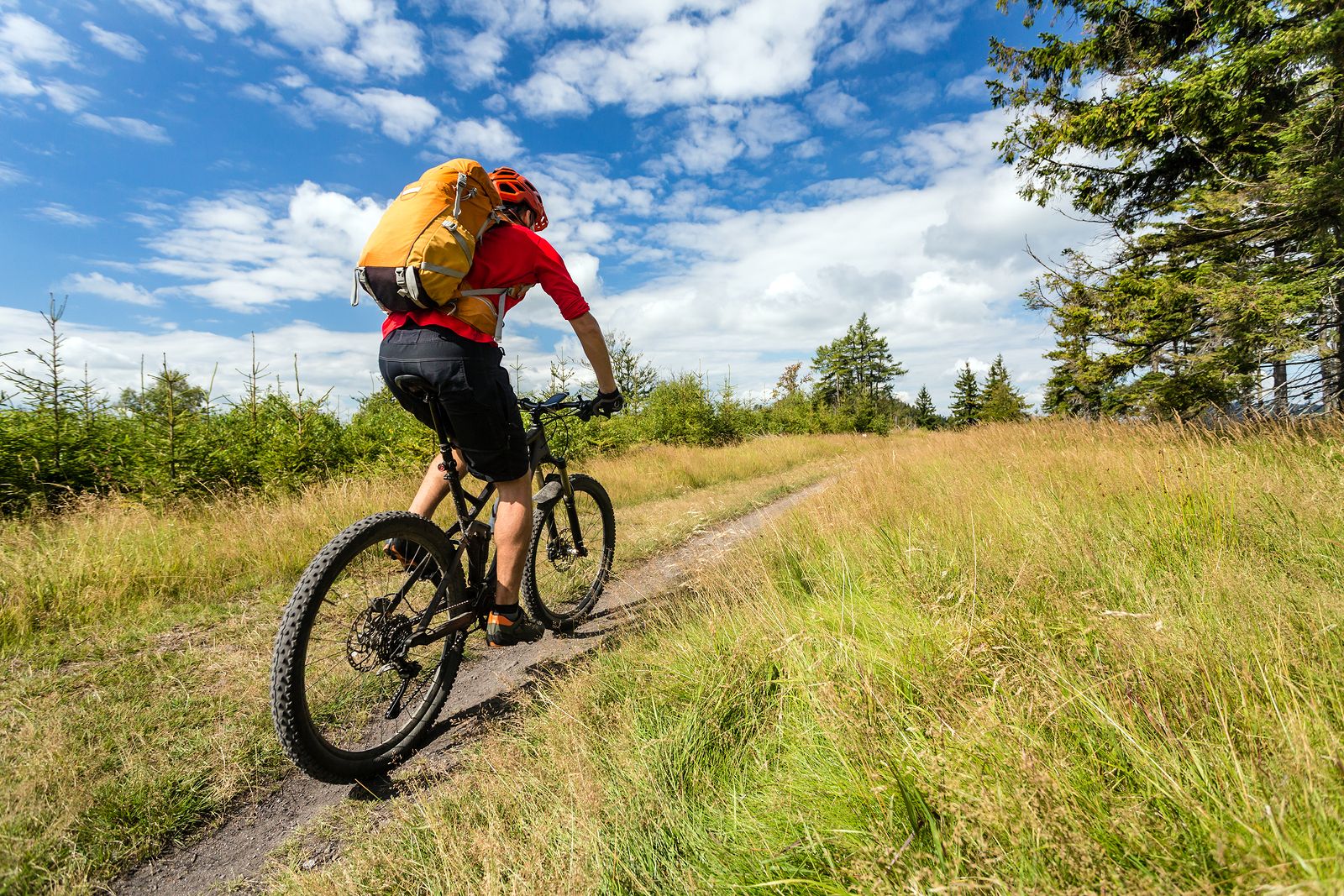 Bicicleta de montaña