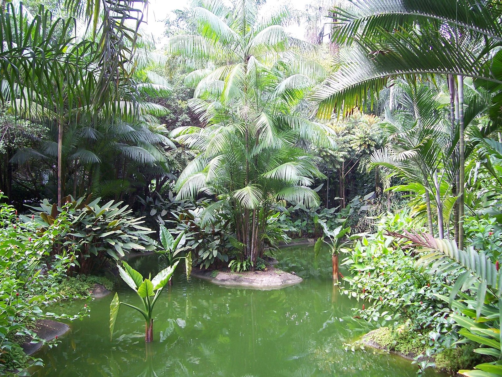 Jardines Botánicos (Bigstock)