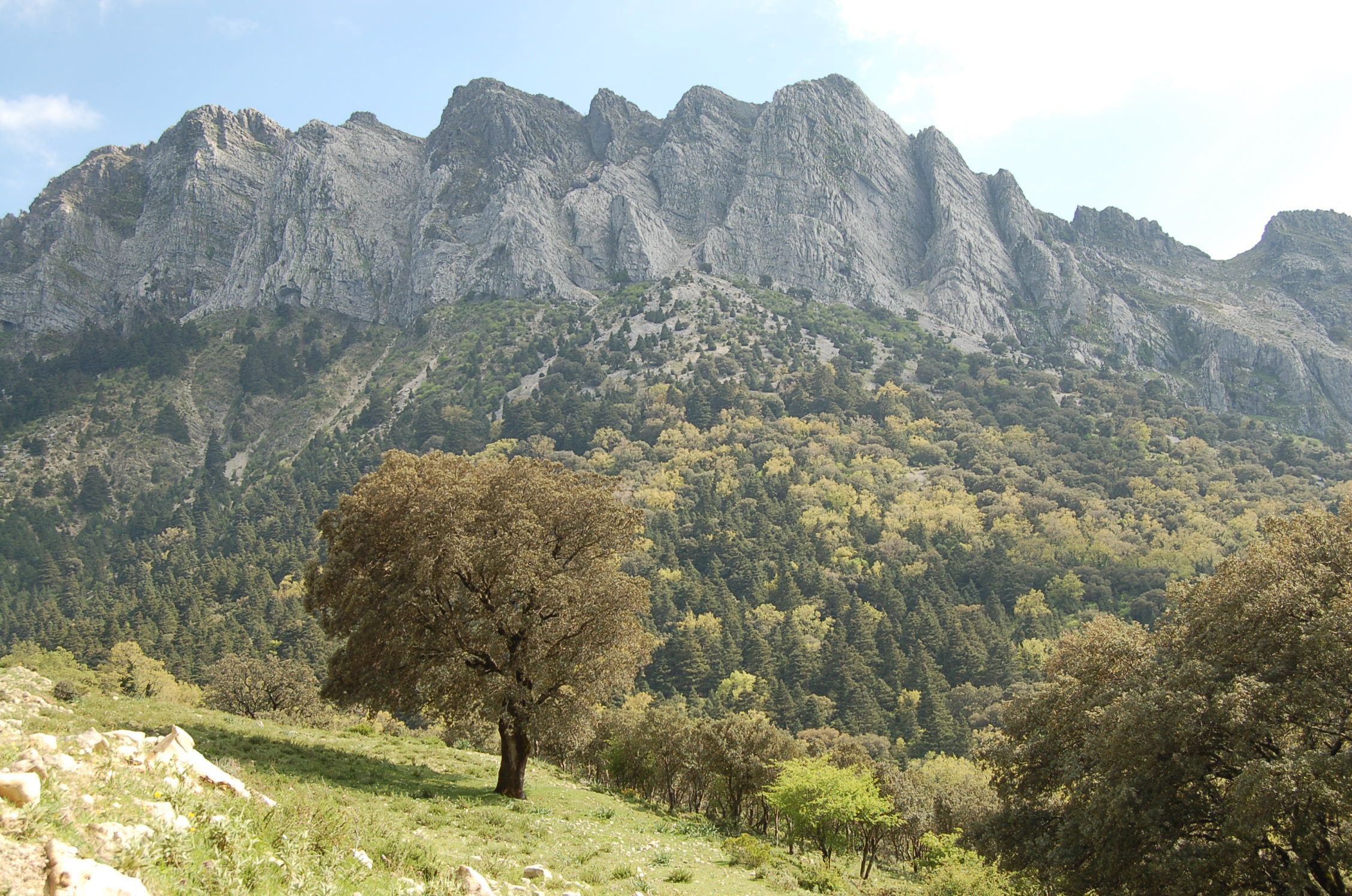 Sierra de Grazalema