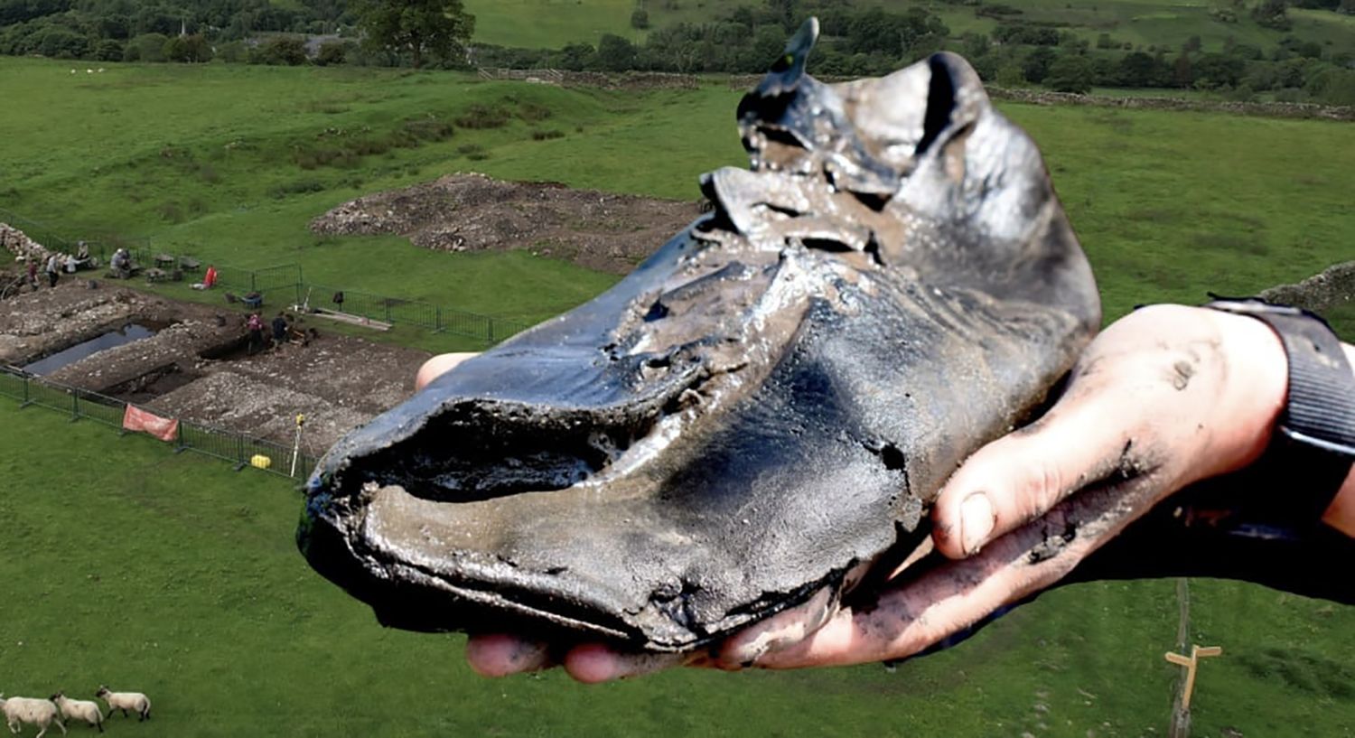 Sexy Shots of Nicole Dobrikov's Voluptuous Rear End