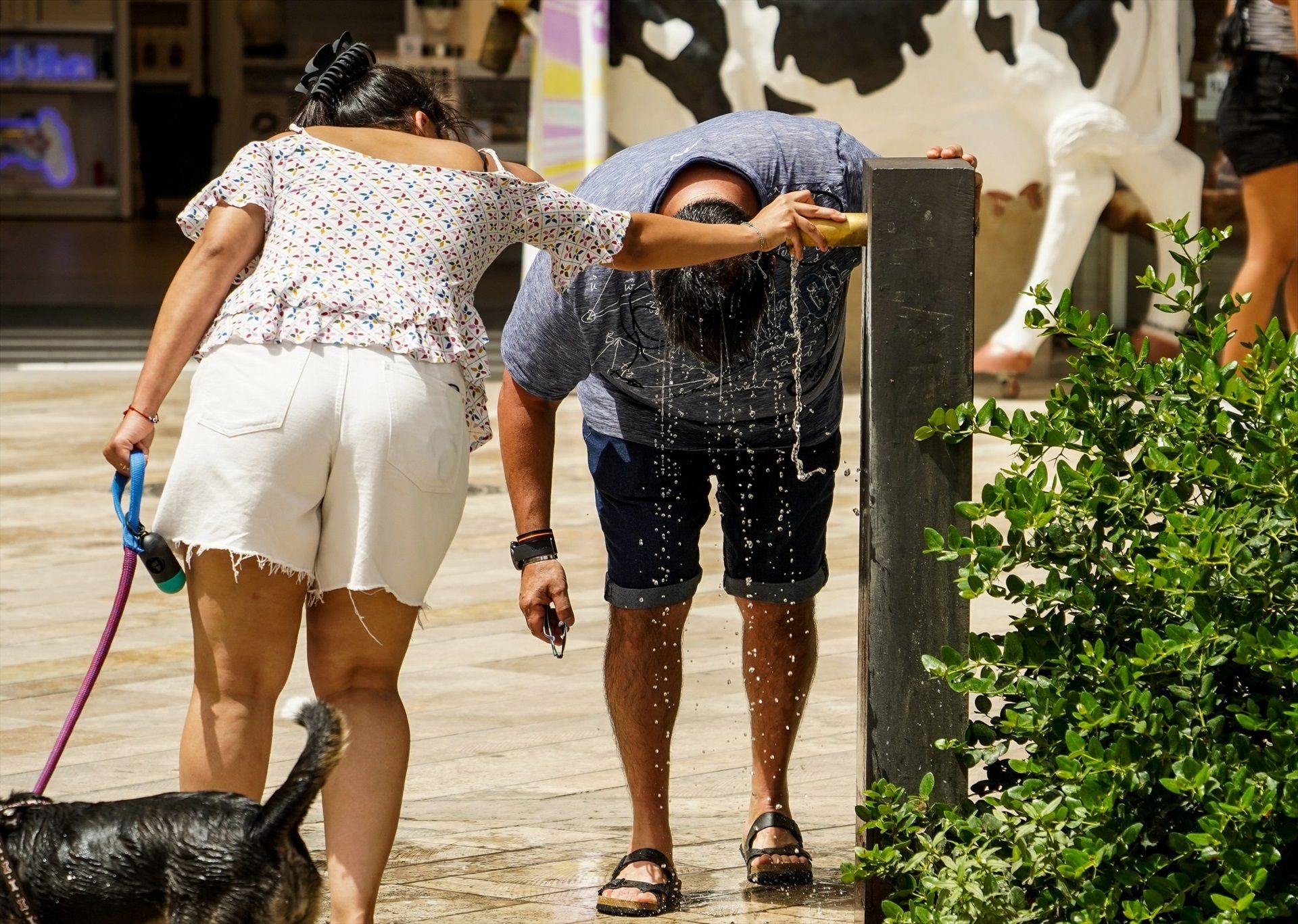Casi toda España sigue con avisos por altas temperaturas: máximas de 41ºC