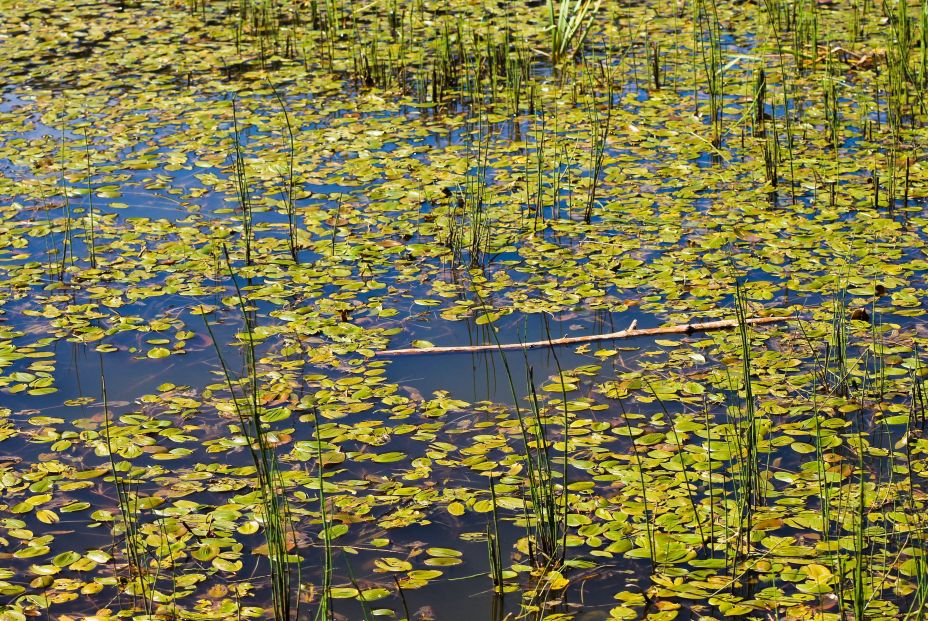 Lagunas de Neila