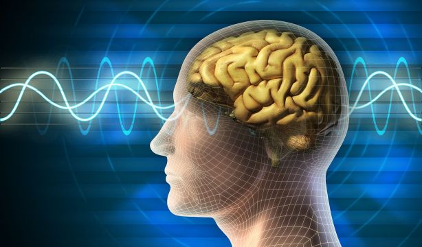 Descubren en humanos las ondas cerebrales 'ripple', clave para la formación de recuerdos