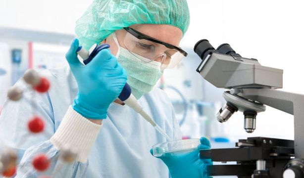 Una posible terapia para la ELA a partir de células madre: se continuará investigando su eficacia