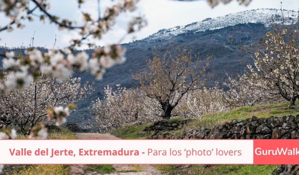 Perseidas GuruWalk   7