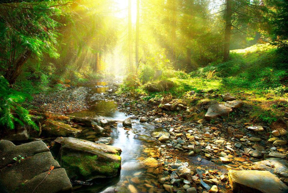 bigstock Mountain River with forest la 74759734 bigstock Mountain River with forest la 74759734