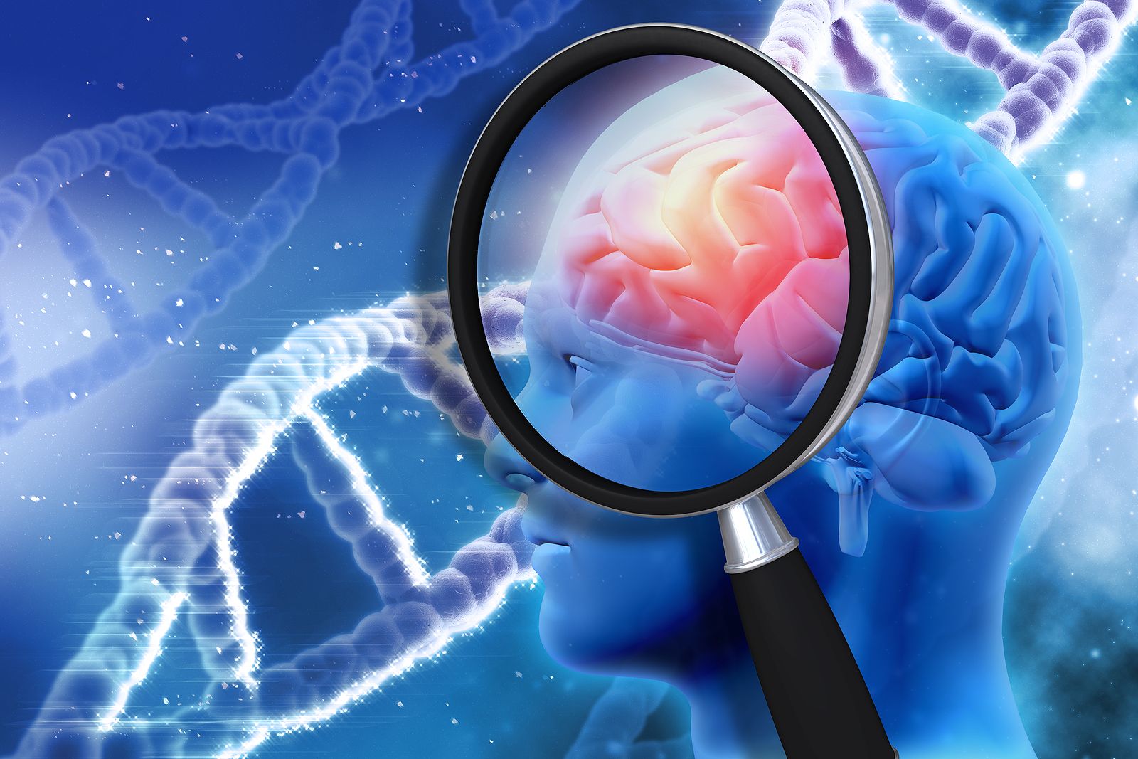 Una red de microcanales en el cráneo podría ser clave en las enfermedades neurológicas (BigStock)