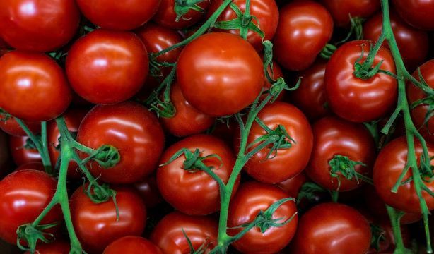 El truco definitivo para conservar el tomate y evitar que pierda sabor