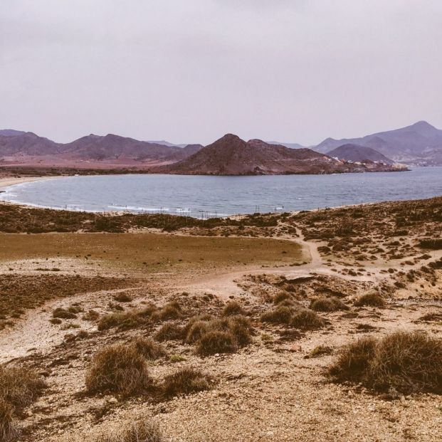 playa genoveses
