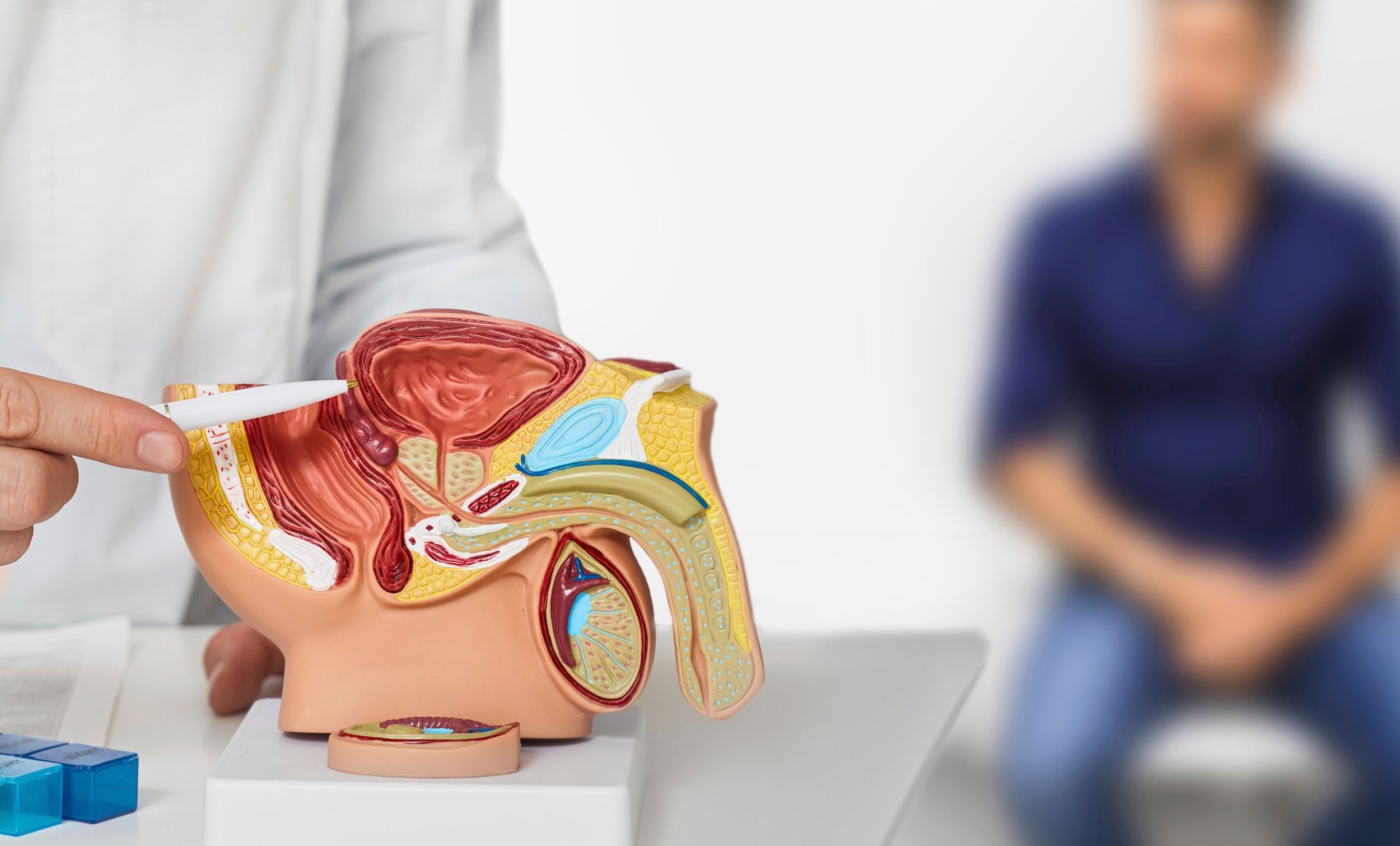 Descubren una estrategia prometedora para ralentizar el avance del cáncer de próstata