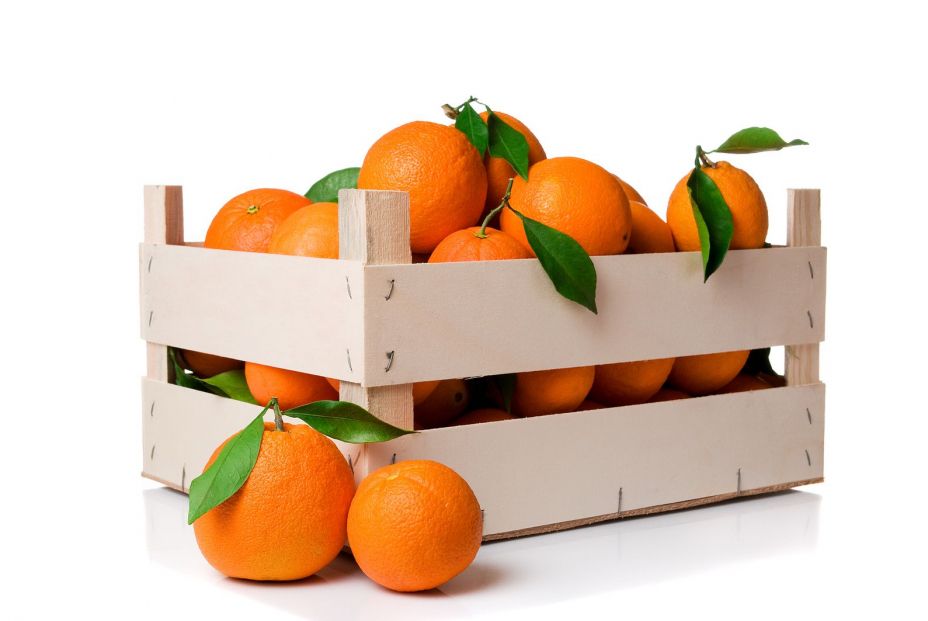 bigstock Fresh and ripe orange fruits w 14505206 bigstock Fresh and ripe orange fruits w 14505206