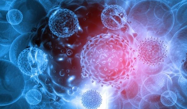 Diseñan un sistema basado en IA para estudiar genes relacionados con la fatiga crónica Diseñan un sistema basado en IA para estudiar genes relacionados con la fatiga crónica
