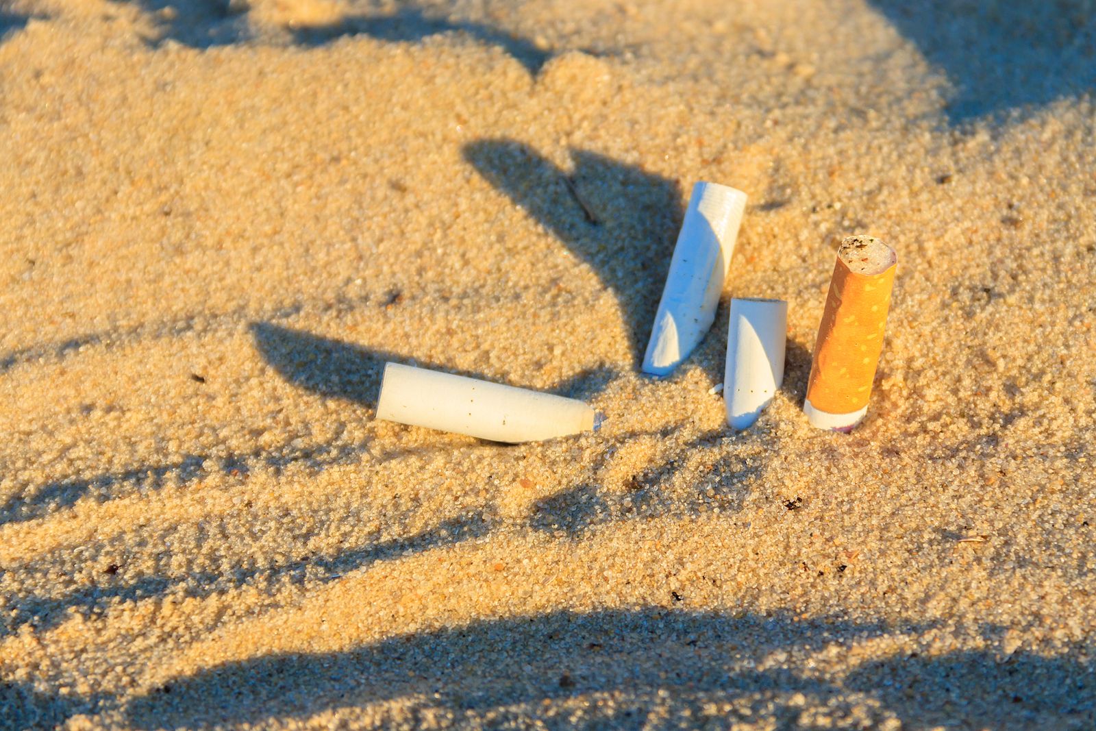 Epidemiólogos exigen que se prohiba fumar en todas las playas de España