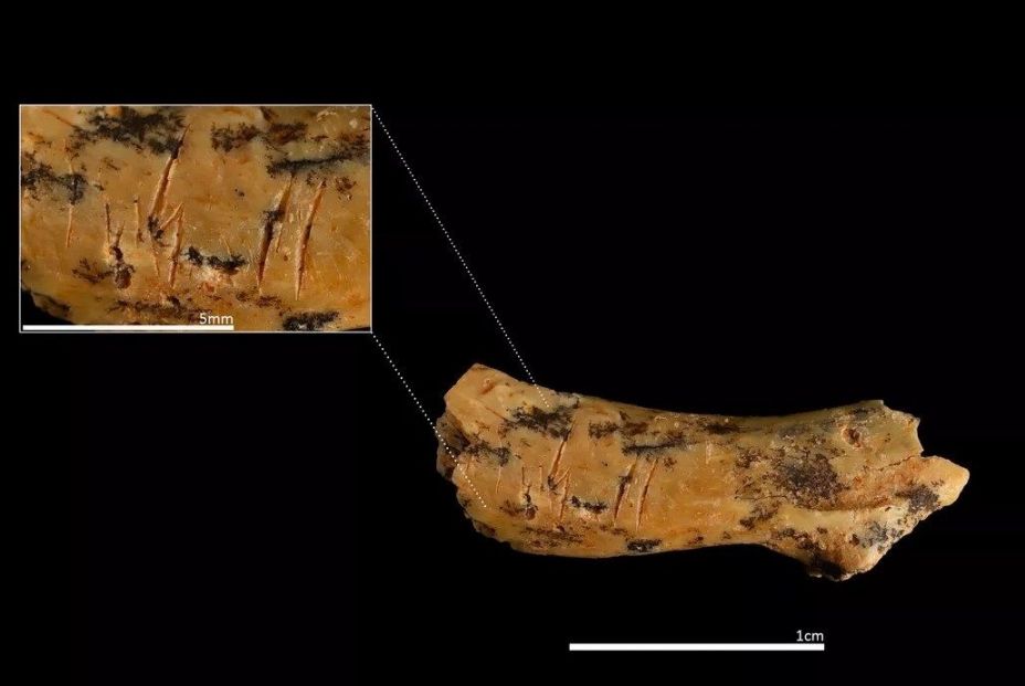 EuropaPress 6872471 detalle vertebra cervical infantil nino nina anos marcas corte evidencian