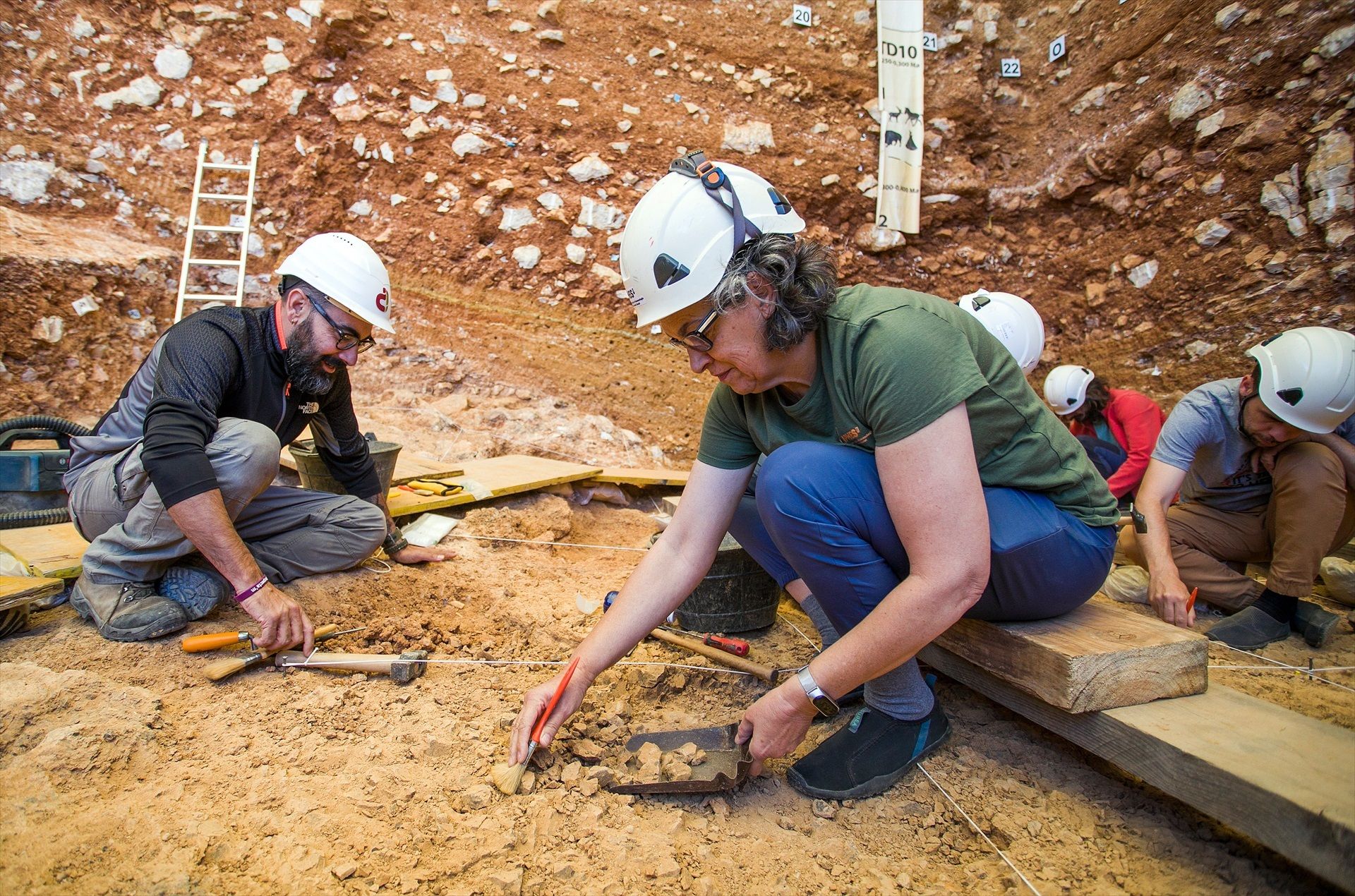 Canibalismo en Atapuerca: encuentran una vértebra humana con marcas de decapitación