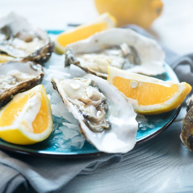 bigstock fresh oysters close up on blue 224189143 bigstock fresh oysters close up on blue 224189143