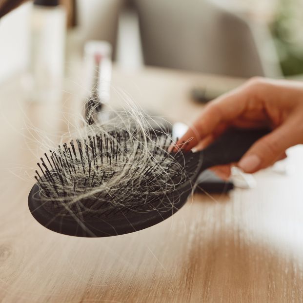 el 30 de las mujeres sufren alopecia a lo largo de su vida el 30 de las mujeres sufren alopecia a lo largo de su vida