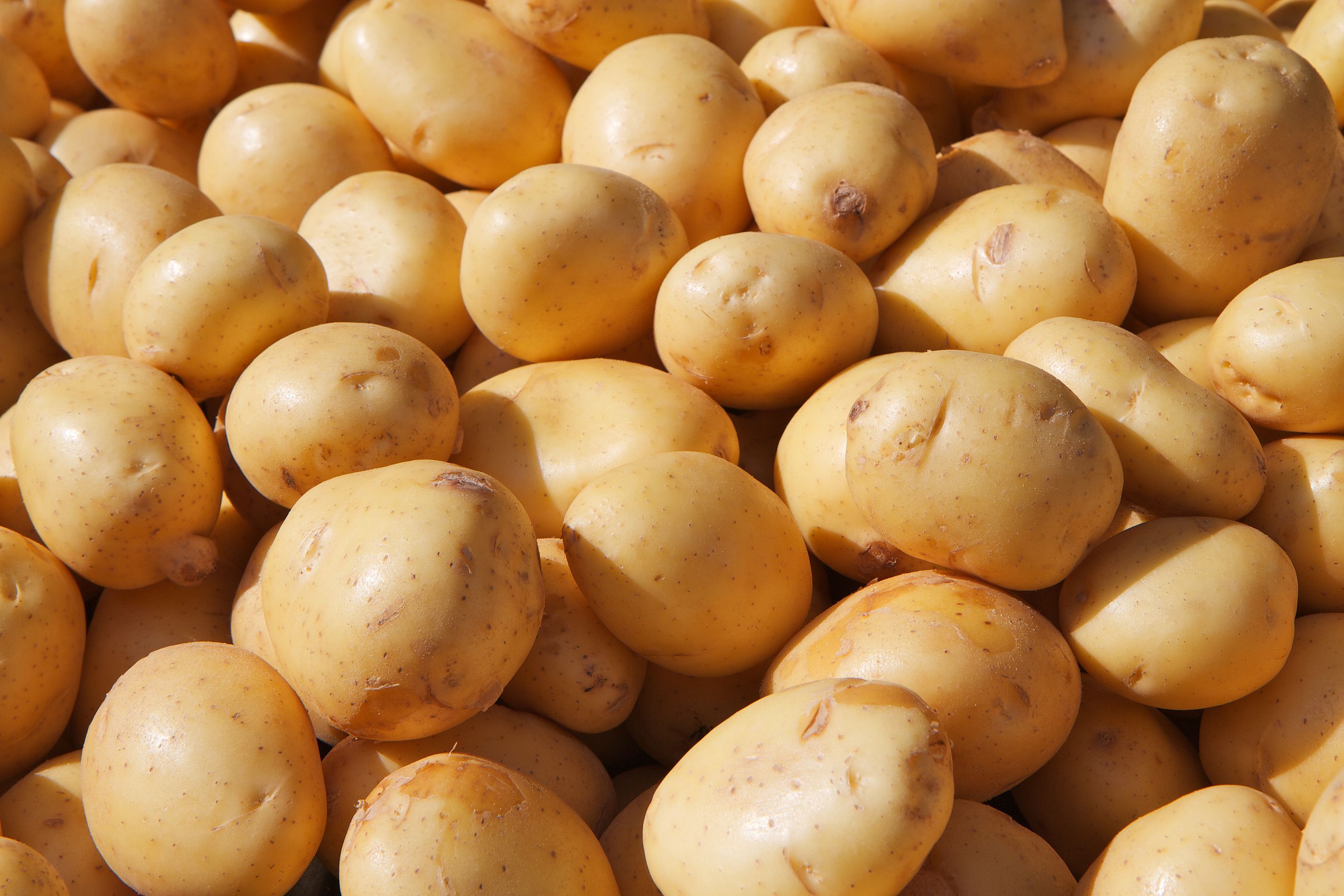 Las patatas pueden aumentar el riesgo de diabetes tipo 2, dependiendo de cómo las cocines (Bigstock) Las patatas pueden aumentar el riesgo de diabetes tipo 2, dependiendo de cómo las cocines (Bigstock)