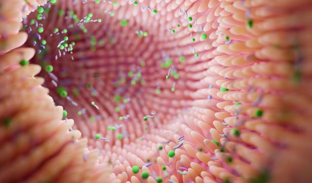 El tentempié nocturno que puede cambiar para bien tu microbiota. (Bigstock)