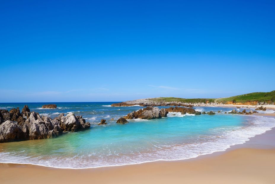 Presencia de medusas y carabelas portuguesas en playas de Asturias