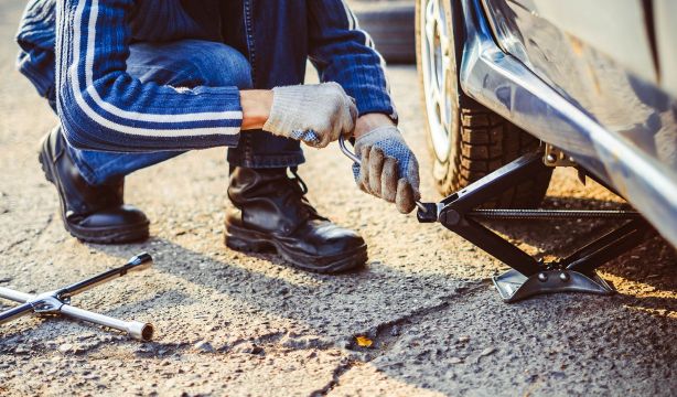 La Policía lanza una advertencia sobre la “estafa del gato”, detectada en varias ciudades de España