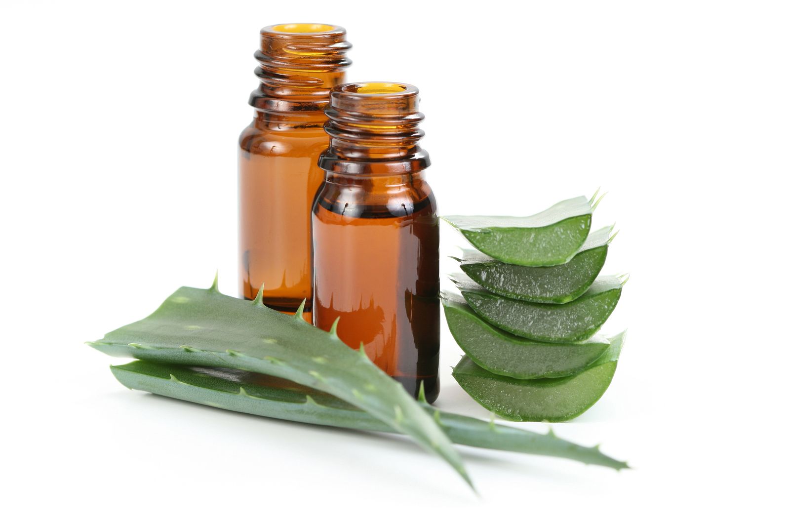 Aloe vera y su gran variedad de propiedades cosméticas (Bigstock)