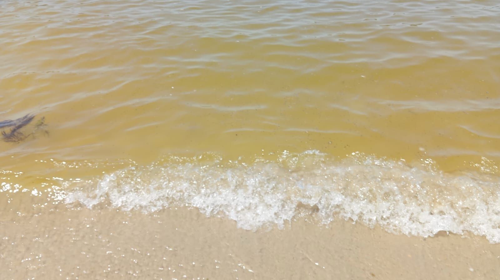 Marea roja en varias playas de Galicia: ¿en qué consiste este fenómeno? ¿es peligroso?