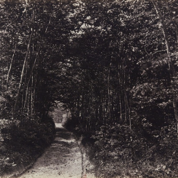 Eugène Cuvelier  Sendero en el bosque, 1850-1860