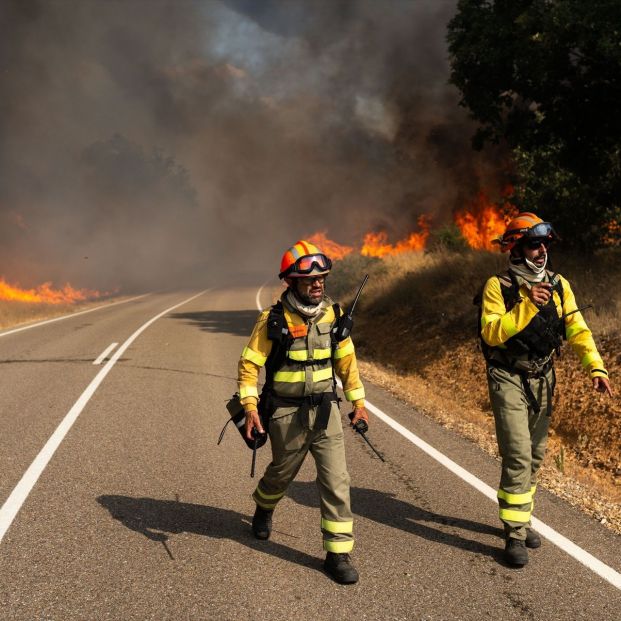 EuropaPress 6897956 bomberos trabajan extinguir incendio 10 agosto 2025 molezuelas carballeda