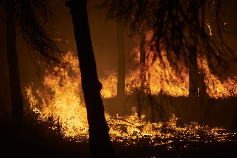 Un verano marcado por los incendios: hasta el 3 de agosto se han quemado 39.155 hectáreas Un verano marcado por los incendios: hasta el 3 de agosto se han quemado 39.155 hectáreas