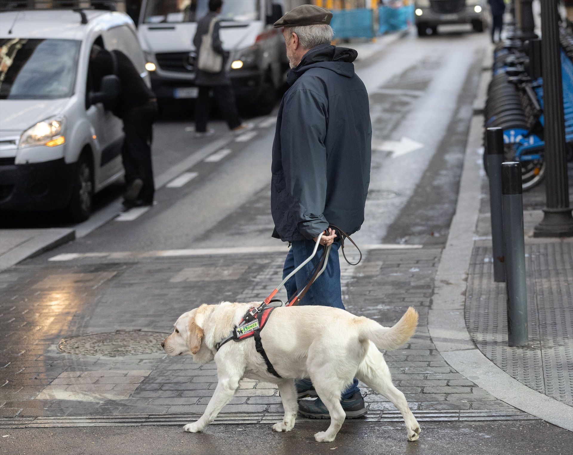 Persona con discapacidad visual cruza un paso de peatones junto a su perro guía. (Europa Press)