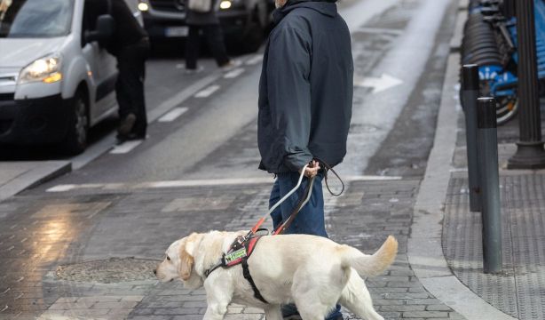 Persona con discapacidad visual cruza un paso de peatones junto a su perro guía. (Europa Press)