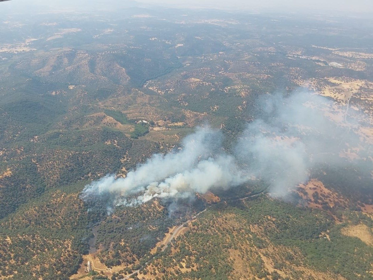 Un verano marcado por los incendios: hasta el 3 de agosto se han quemado 39.155 hectáreas