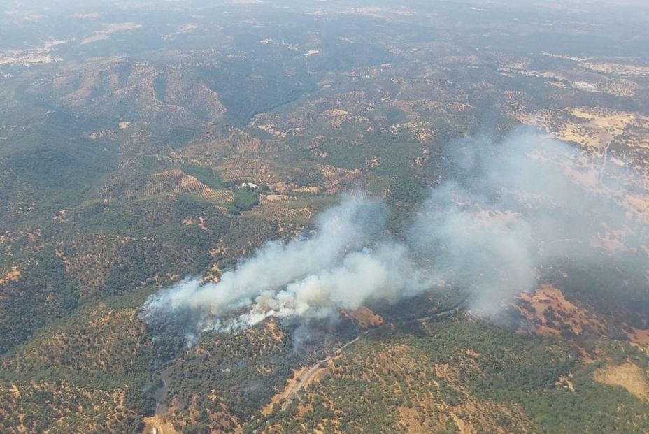 Un verano marcado por los incendios: hasta el 3 de agosto se han quemado 39.155 hectáreas Un verano marcado por los incendios: hasta el 3 de agosto se han quemado 39.155 hectáreas