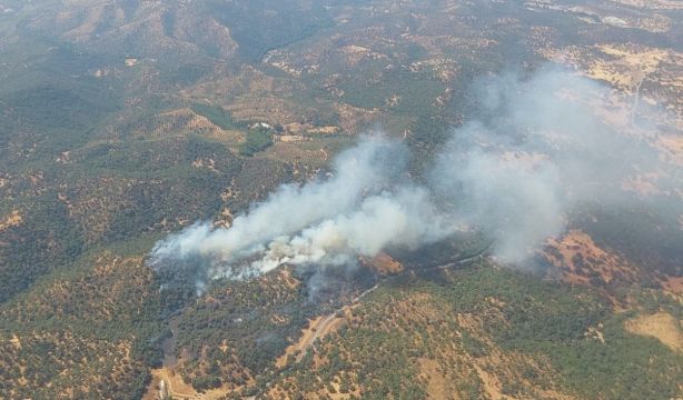 Un verano marcado por los incendios: hasta el 3 de agosto se han quemado 39.155 hectáreas