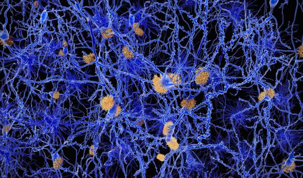 Enfermedades neurodegenerativas: ¿Y si la clave estuviera en las mitocondrias? (Bigstock)