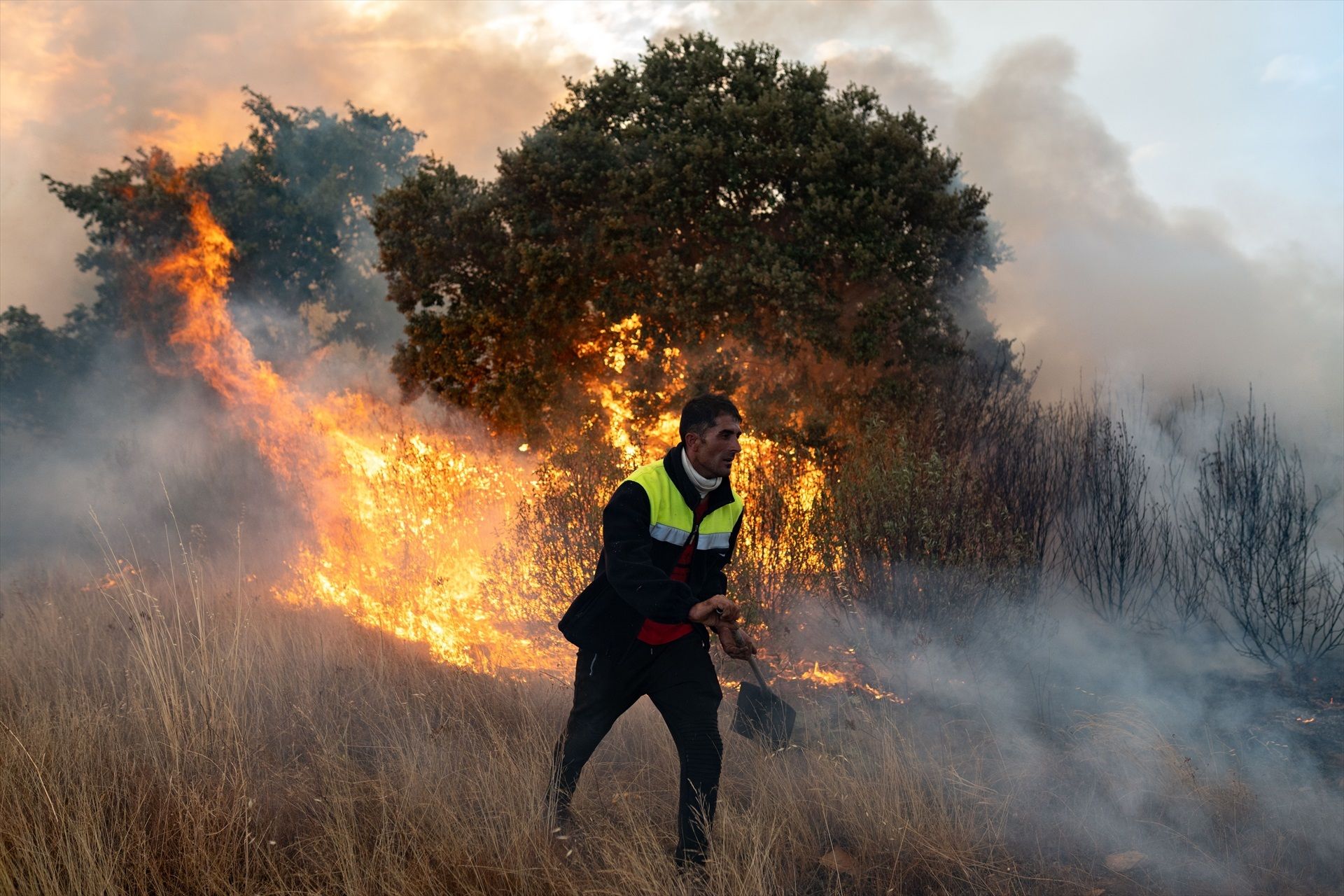EuropaPress 6899859 persona trata apagar fuego 12 agosto 2025 abejera zamora castilla leon