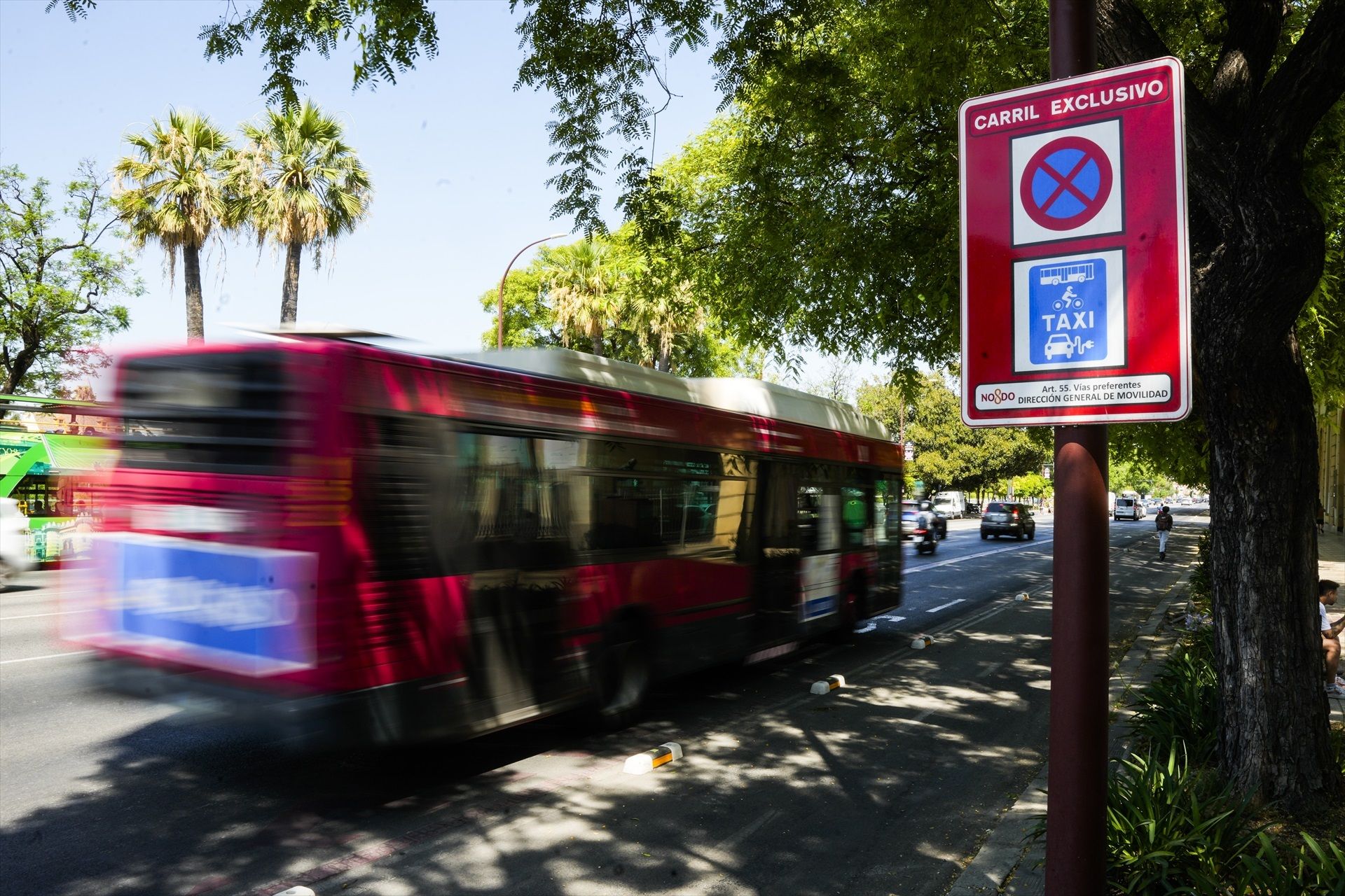 Las ciudades más caras de España para viajar en transporte público