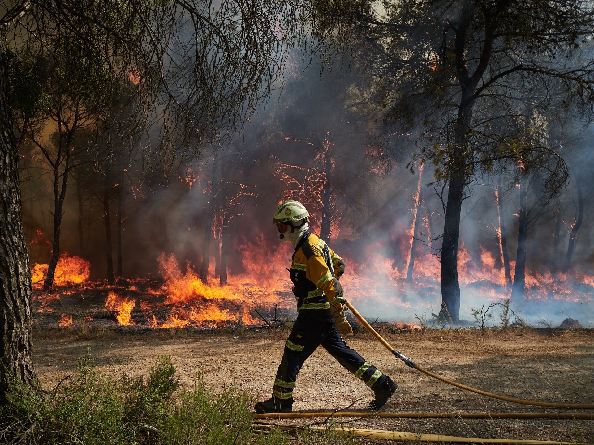 El cambio climático, la causa principal de los incendios "intensos" de este verano, según un experto