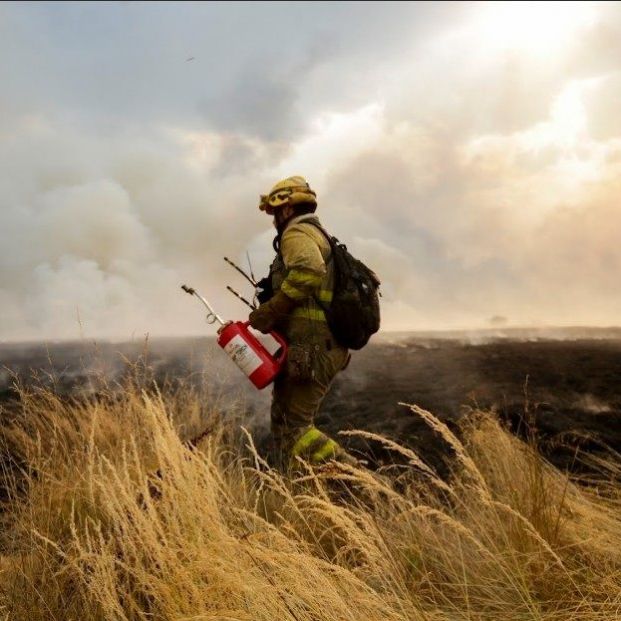 EuropaPress 6902963 efectivo contra incendios trabaja tareas extincion leon EuropaPress 6902963 efectivo contra incendios trabaja tareas extincion leon