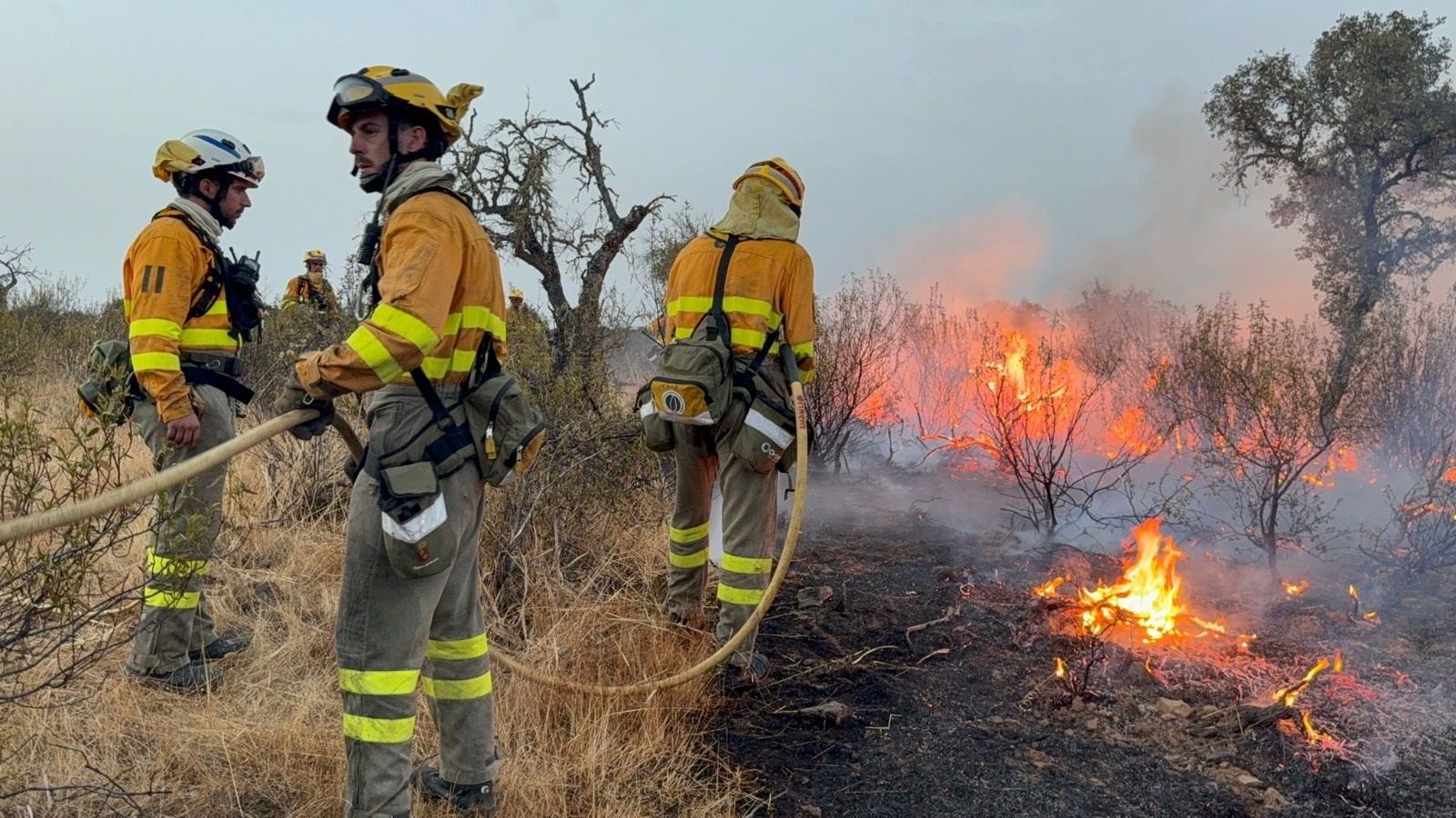 Cuatro bomberos heridos durante la extinción de los incendios en Galicia